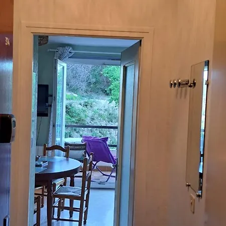 50 M Des Cures Joli Phannie Parking Wifi Debit Libre Avril Et Apres 24 Octobre Амели-ле-Бен-Палальда