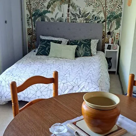 Apartament Fraicheur En Sejour Thermal Ferniere Dispo Des Le 24 Octobre Grand Studio Phannie 50M Des Cures Tres Jolie Vue Parking Wifi *
