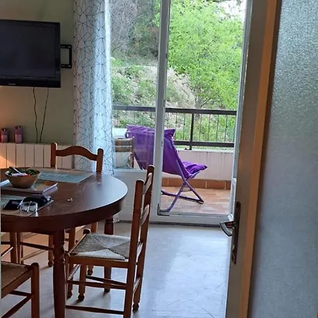 50 M Des Cures Joli Phannie Parking Wifi Debit Libre Avril Et Apres 24 Octobre Апартаменты Амели-ле-Бен-Палальда