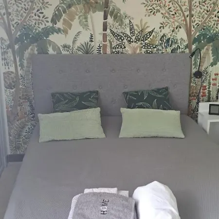 Apartment Phannie Renove 50m Cures Amelie-les-Bains-Palalda