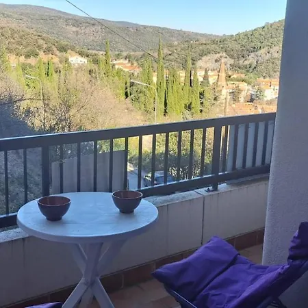Apartment Phannie Renove 50m Cures Amelie-les-Bains-Palalda