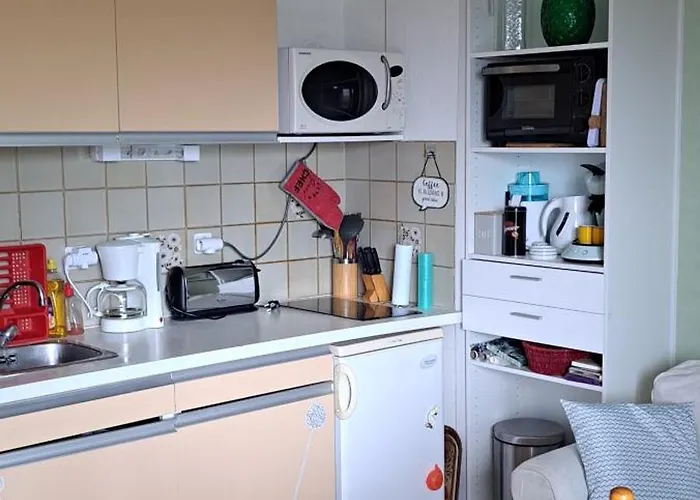 Appartement 50m Des Cures Grand Phannie Jolie Vue Parking Wifi Qq Dispo Sur L été Et Libre Du 24 Octobre à Mi Décembre