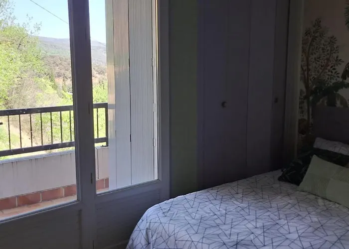 50m Des Cures Grand Phannie Jolie Vue Parking Wifi Qq Dispo Sur L été Et Libre Du 24 Octobre à Mi Décembre Appartement Amélie-les-Bains-Palalda