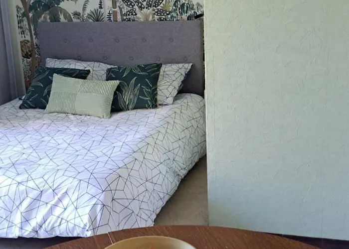 Appartement 50m Des Cures Grand Phannie Jolie Vue Parking Wifi Qq Dispo Sur L été Et Libre Du 24 Octobre à Mi Décembre Amélie-les-Bains-Palalda
