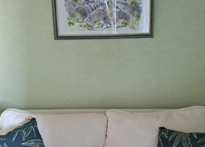 Appartement 50m Des Cures Grand Phannie Jolie Vue Parking Wifi Qq Dispo Sur L été Et Libre Du 24 Octobre à Mi Décembre *