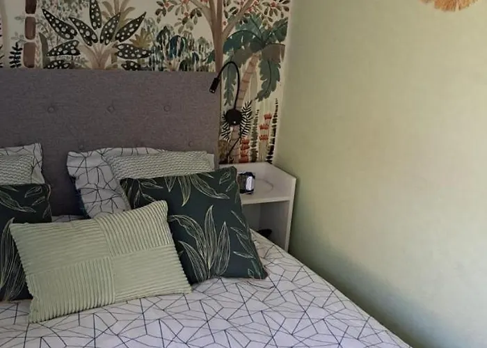 50m Des Cures Grand Phannie Jolie Vue Parking Wifi Qq Dispo Sur L été Et Libre Du 24 Octobre à Mi Décembre * Amélie-les-Bains-Palalda