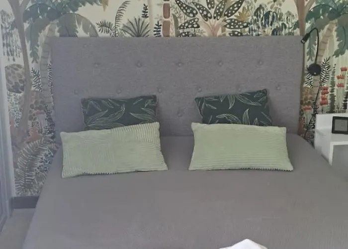 Appartement 50m Des Cures Grand Phannie Jolie Vue Parking Wifi Qq Dispo Sur L été Et Libre Du 24 Octobre à Mi Décembre Amélie-les-Bains-Palalda
