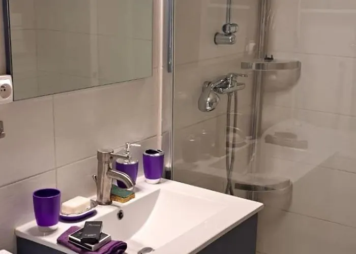 Appartement 50m Des Cures Grand Phannie Jolie Vue Parking Wifi Qq Dispo Sur L été Et Libre Du 24 Octobre à Mi Décembre Amélie-les-Bains-Palalda