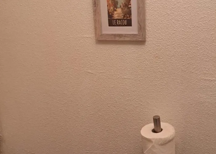 Appartement 50m Des Cures Grand Phannie Jolie Vue Parking Wifi Qq Dispo Sur L été Et Libre Du 24 Octobre à Mi Décembre Amélie-les-Bains-Palalda
