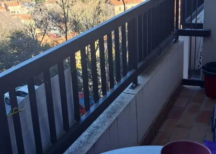 50m Des Cures Grand Phannie Jolie Vue Parking Wifi Qq Dispo Sur L été Et Libre Du 24 Octobre à Mi Décembre * Amélie-les-Bains-Palalda