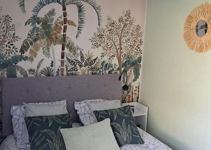 50m Des Cures Grand Phannie Jolie Vue Parking Wifi Qq Dispo Sur L été Et Libre Du 24 Octobre à Mi Décembre Appartement Amélie-les-Bains-Palalda